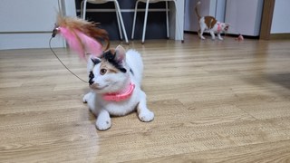 갤러리 이미지