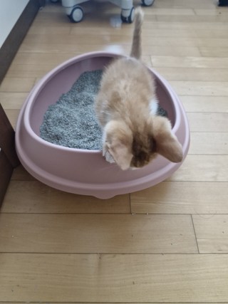 갤러리 이미지