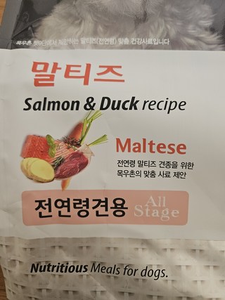 갤러리 이미지