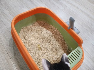 갤러리 이미지