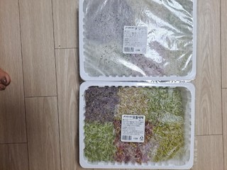 갤러리 이미지