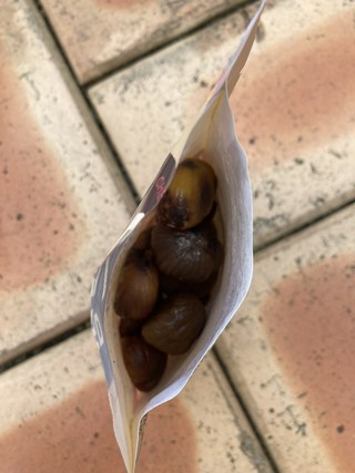 갤러리 이미지