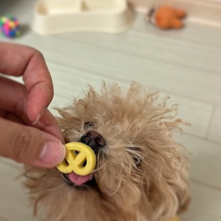 갤러리 이미지
