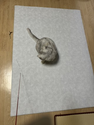갤러리 이미지