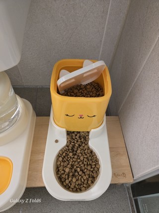 갤러리 이미지