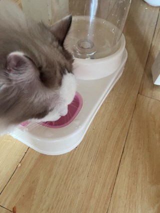 갤러리 이미지