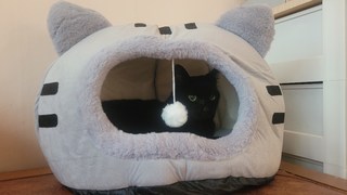 갤러리 이미지