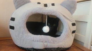 갤러리 이미지