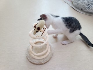 갤러리 이미지
