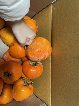 갤러리 이미지