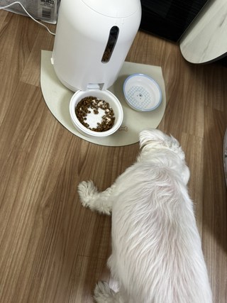 갤러리 이미지