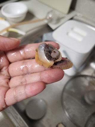 갤러리 이미지
