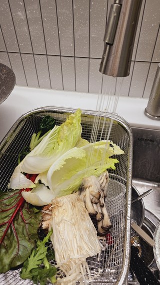갤러리 이미지