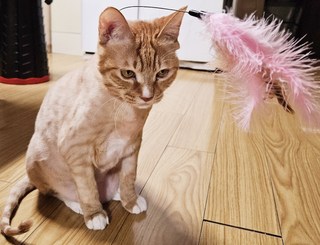 갤러리 이미지