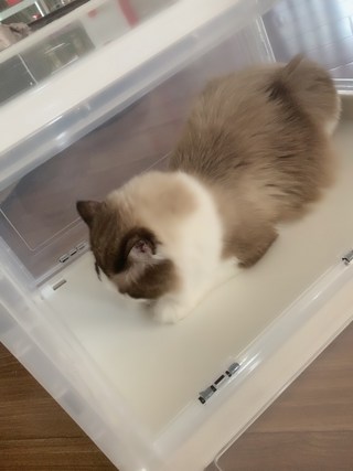 갤러리 이미지
