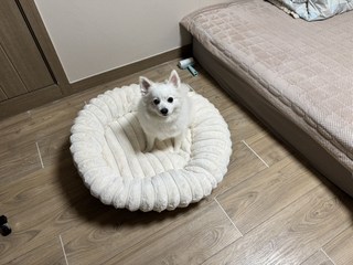 갤러리 이미지