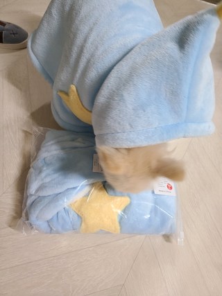 갤러리 이미지