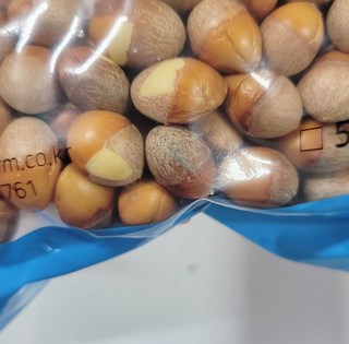 갤러리 이미지