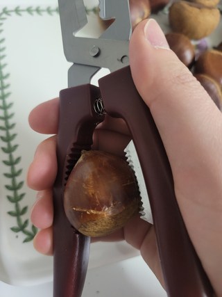갤러리 이미지