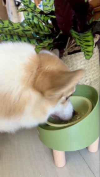 갤러리 이미지