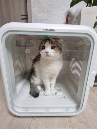 갤러리 이미지