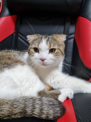 갤러리 이미지