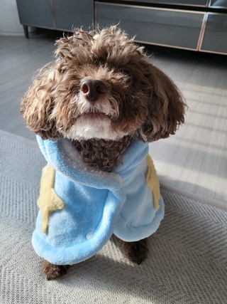 갤러리 이미지