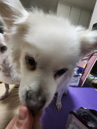 갤러리 이미지
