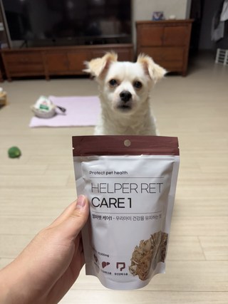 갤러리 이미지