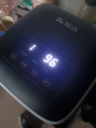 갤러리 이미지