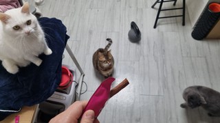 갤러리 이미지