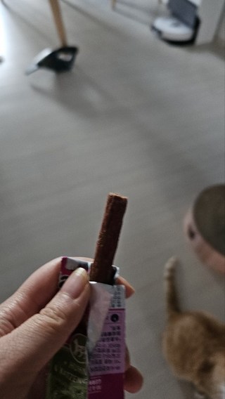 갤러리 이미지