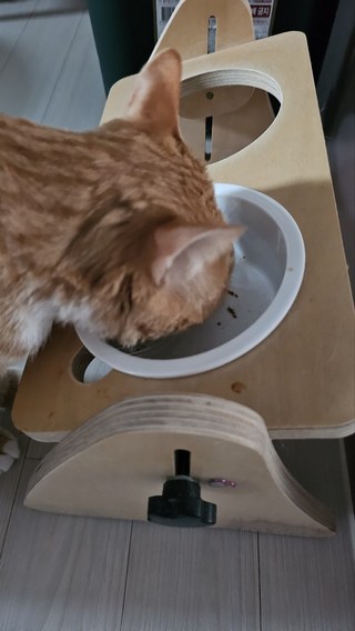 갤러리 이미지