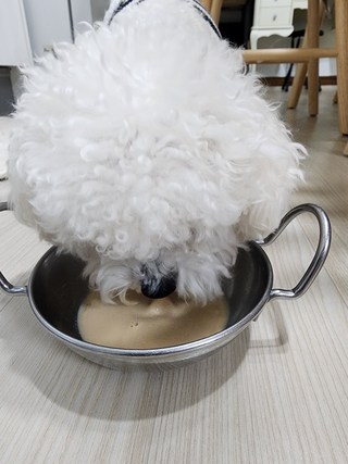 갤러리 이미지
