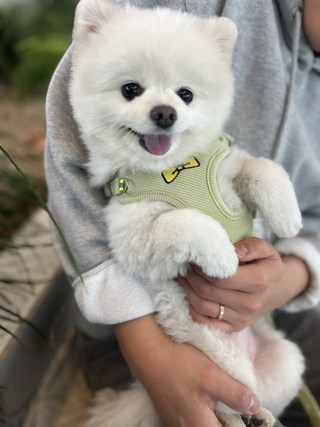 갤러리 이미지