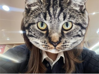 갤러리 이미지