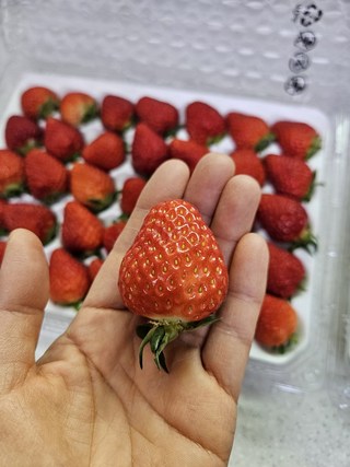갤러리 이미지