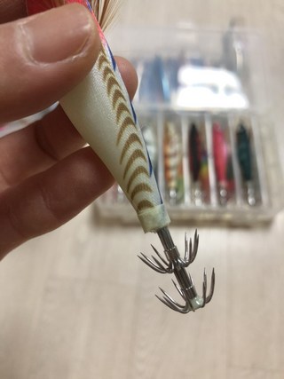 갤러리 이미지