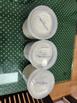 갤러리 이미지