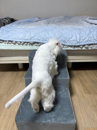 갤러리 이미지