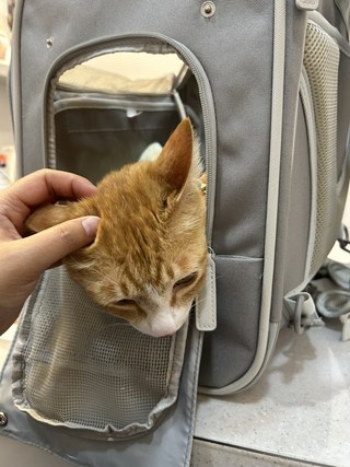 갤러리 이미지