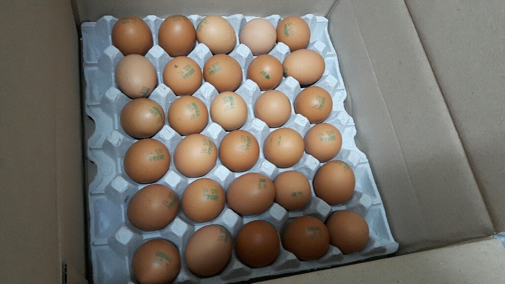 오복유통 HACCP인증 구운계란 1판 30구 무료배송조미소금 무료 리뷰후기