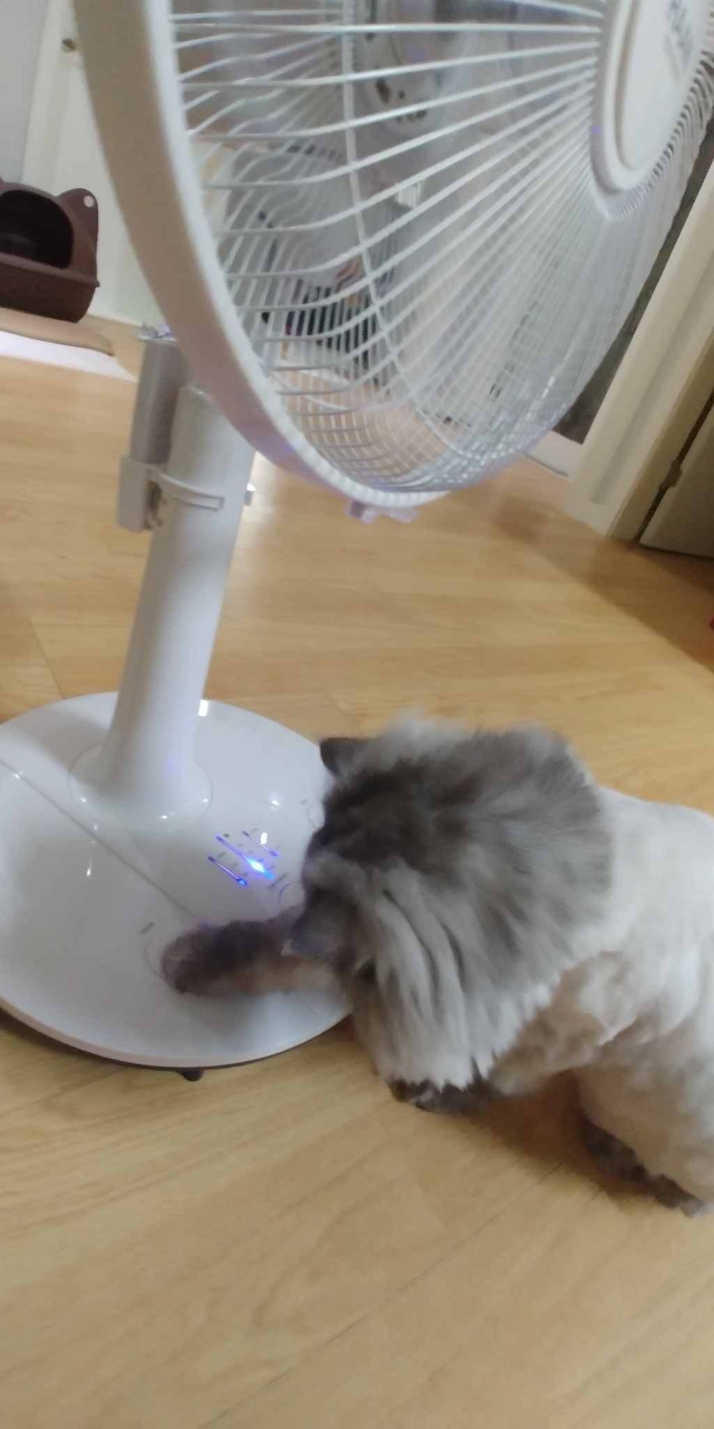 한경희생활과학 이지라이프 리모컨 서큘레이터 선풍기