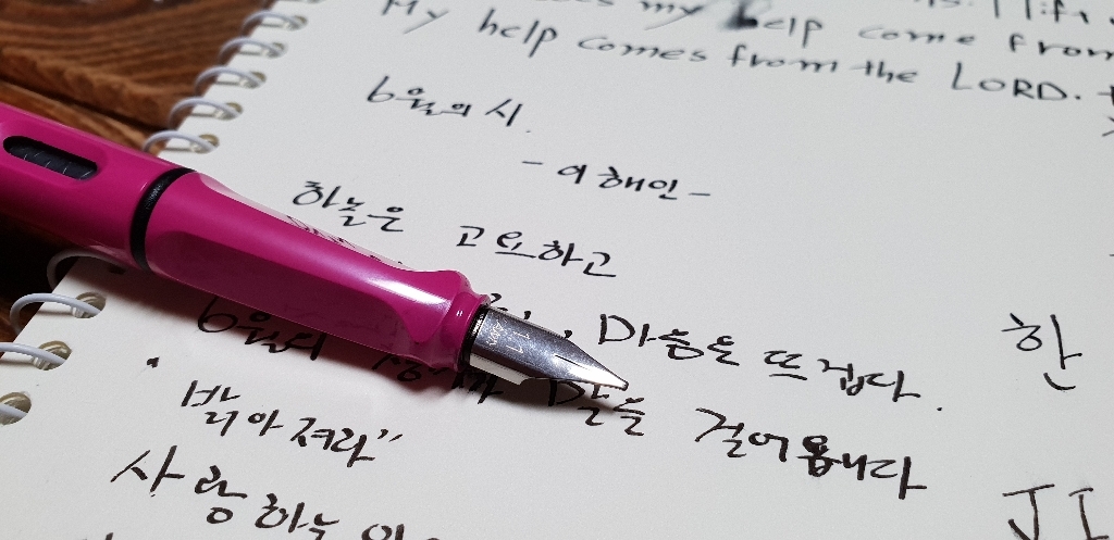 AY 유광스틸 만년필 펜촉