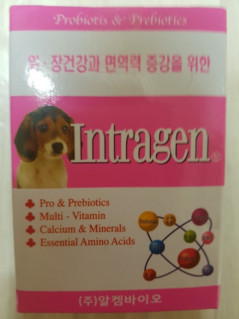 인트라젠 조인트 파워 애견 종합 영양제 리뷰후기