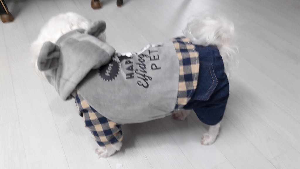 도그아이 해피펫 올인원
