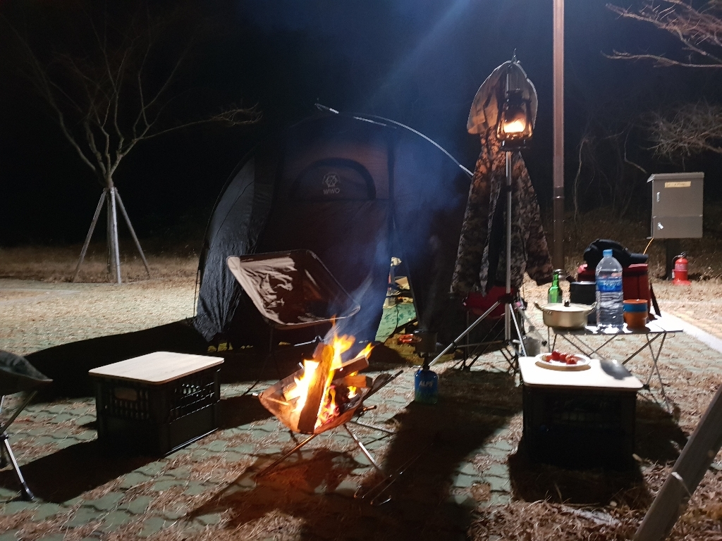 월드그린 파라핀오일