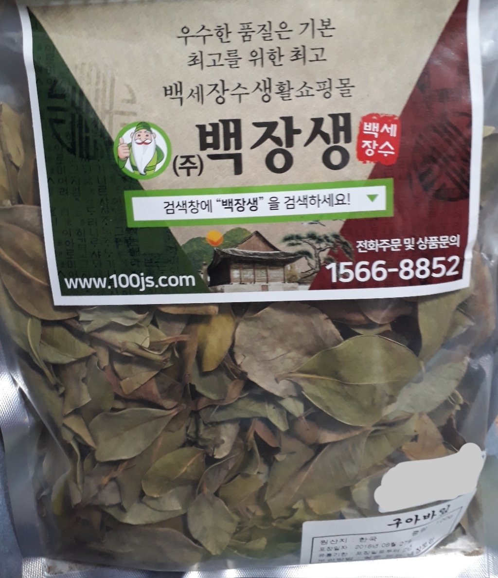 백장생 구아바잎