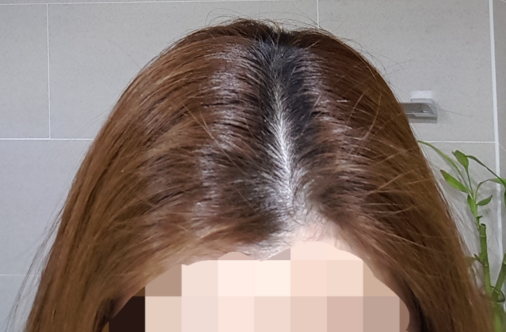 댕기머리 뉴골드 새치머리용 한방 칼라 크림 염색제, 5호 진갈색, 1개
