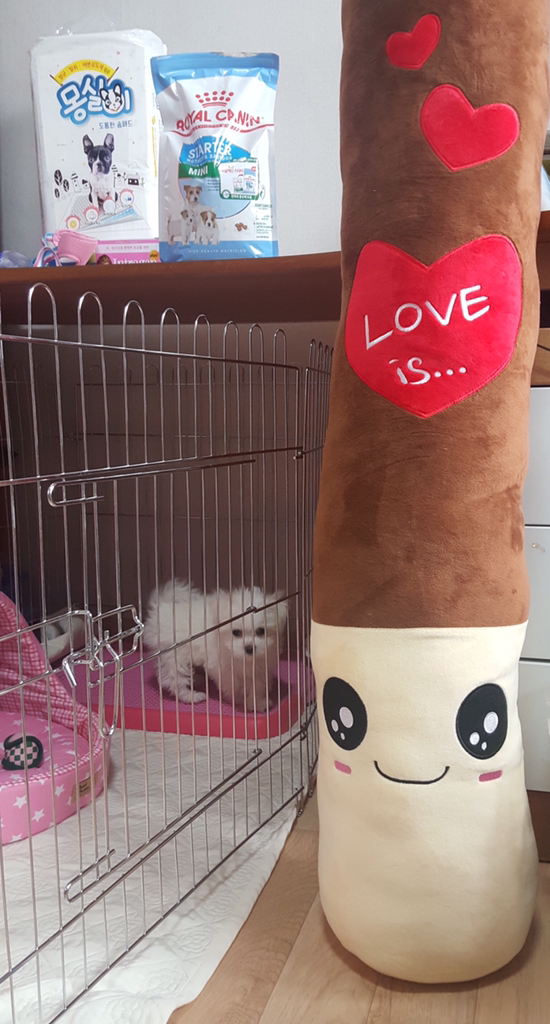 드림에버 러브 빼빼로 대형 롱쿠션 인형 커버분리 리뷰후기